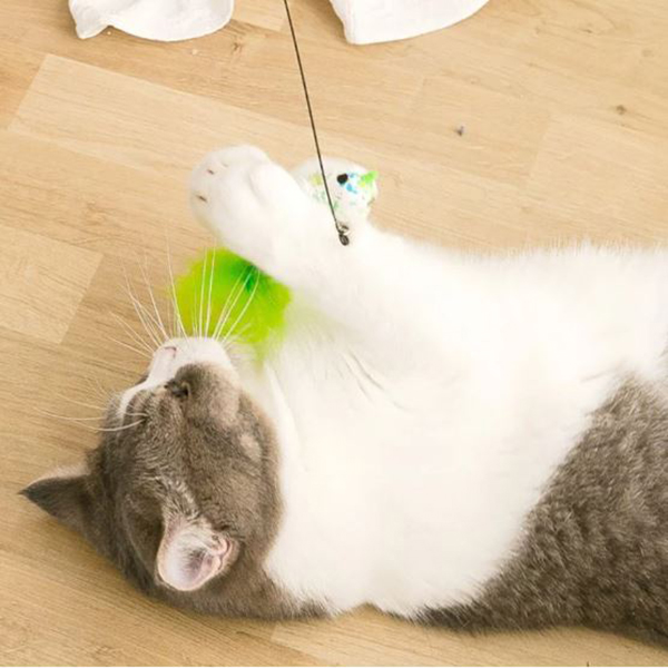 cat teaser toy for funny moments