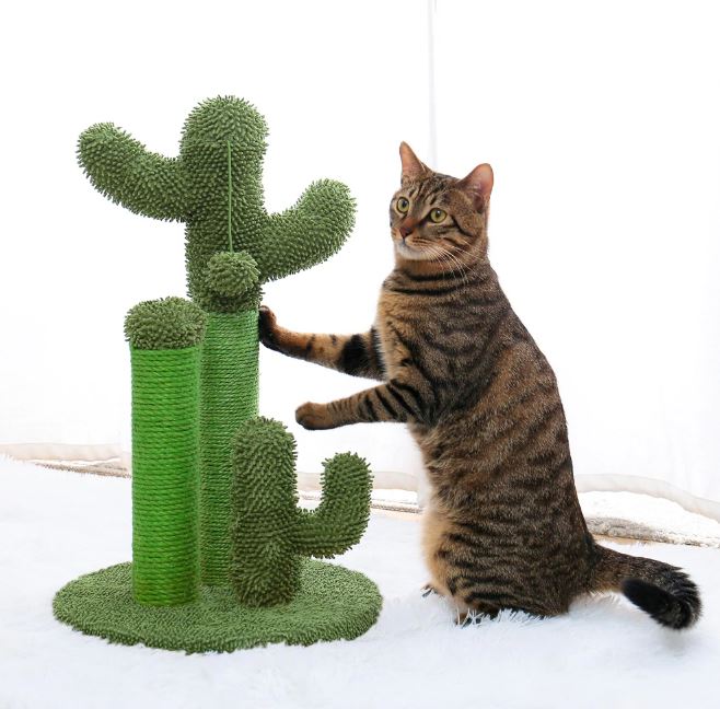 cat scratching ball toy