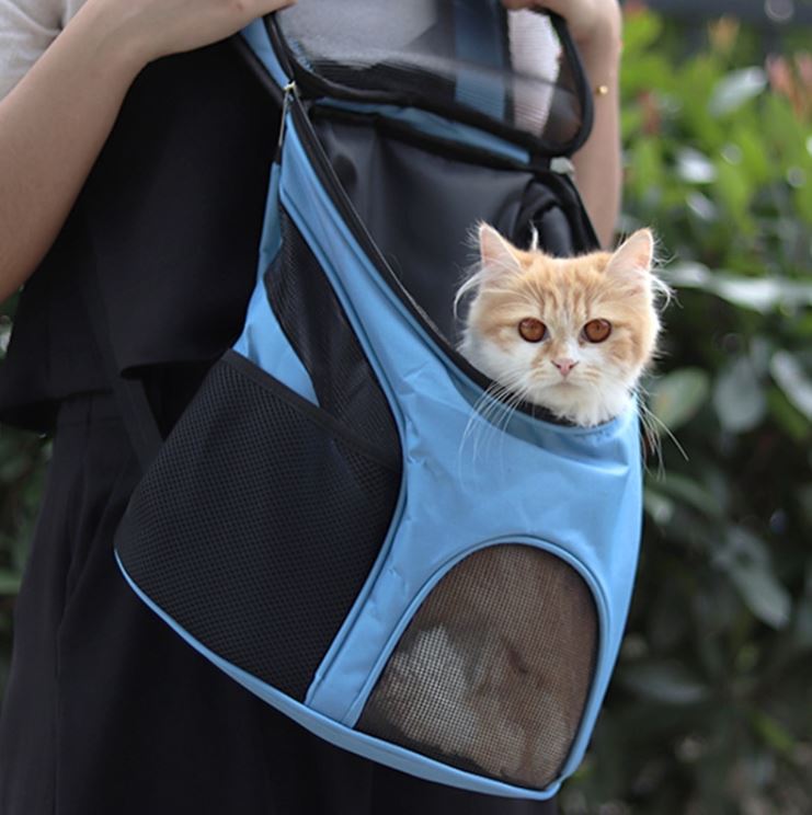 Cat outdoor carrier backpack