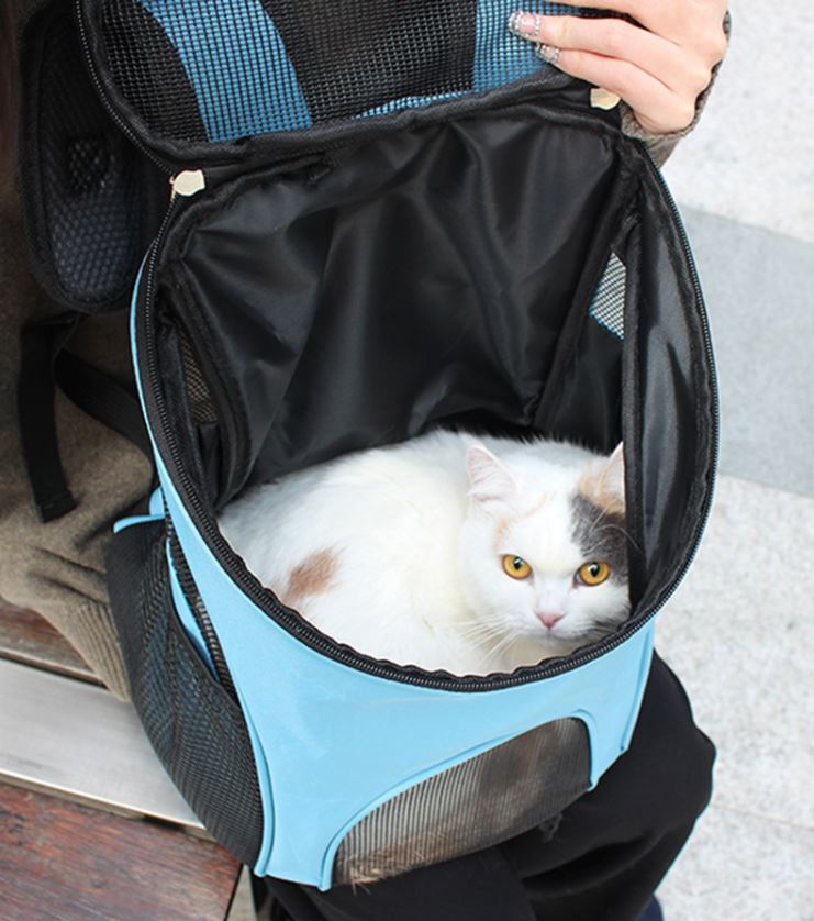 Cat outdoor carrier backpack