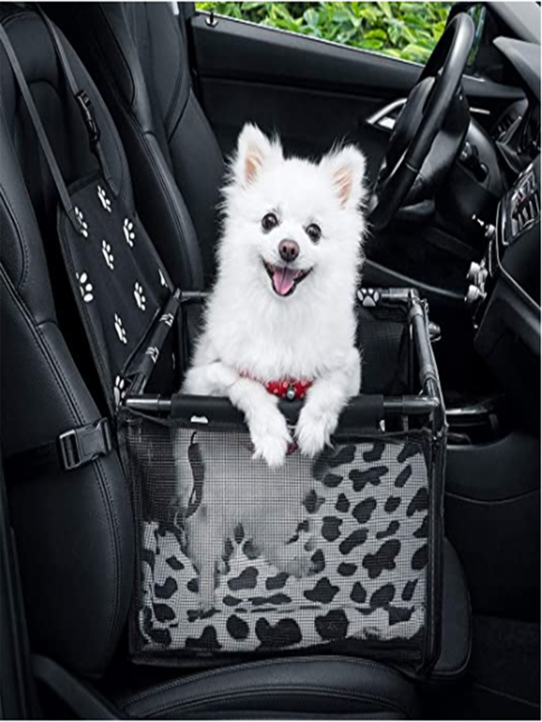 puppy travelling car basket