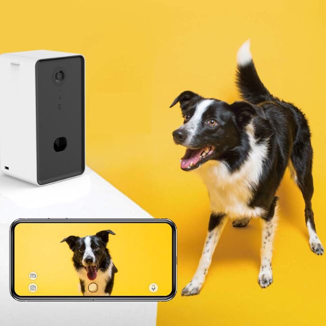 Dog camera treat dispense to monitor and check up on your pet