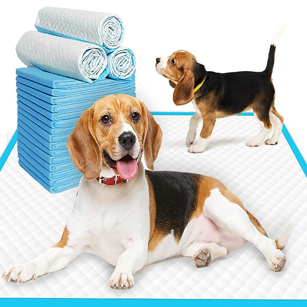 Pee Pads for Dogs & Puppies, leak-proof