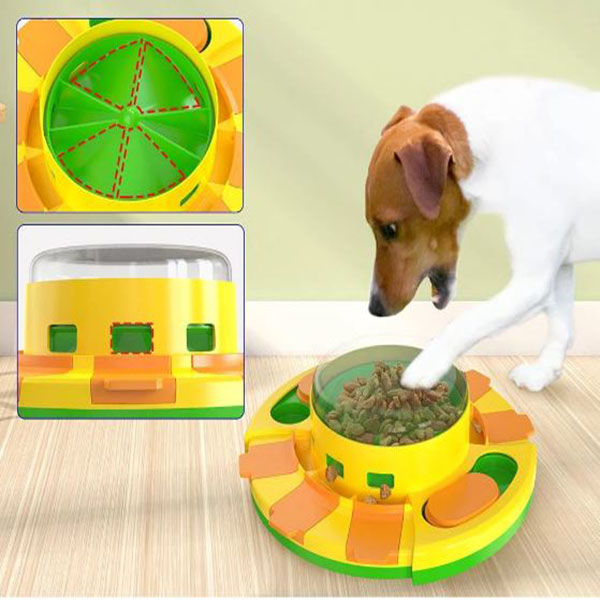 dog food dispenser to improve intelligence