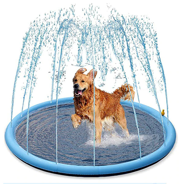 Dog Splash Sprinkler Pad for fun in the summer time