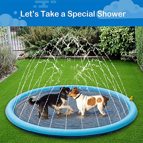Dog Splash Sprinkler Pad for fun in the summer time