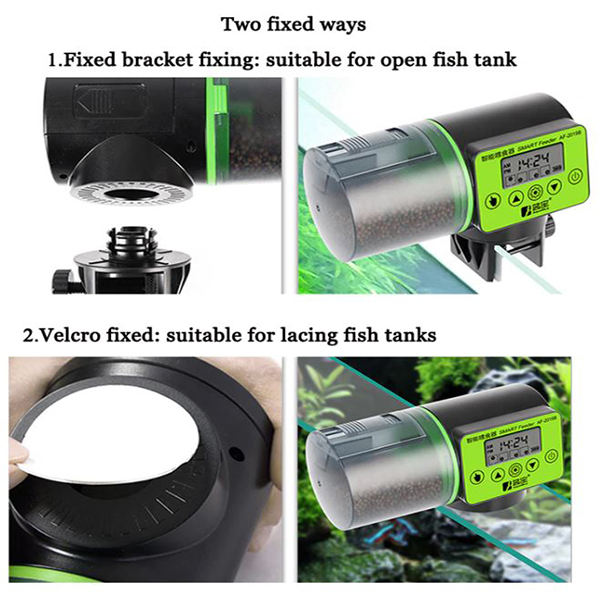 automatic fish feeder for your aquarium tank with screen display