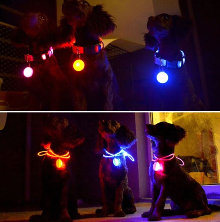 LED Glowing FlashLight Dog Necklace for night safety