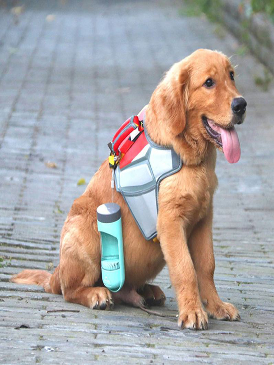 portable water bottle for your dog while going out for walking